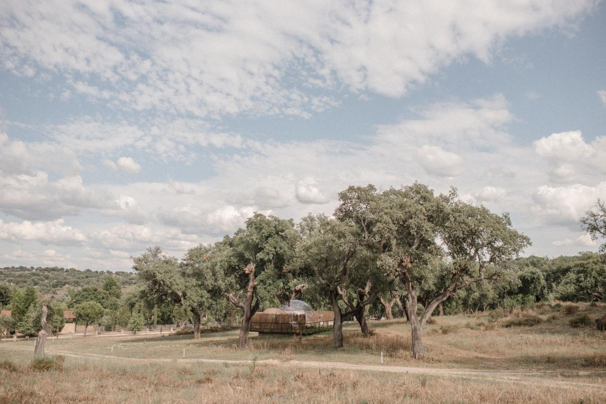 Finca El Cortinal Valencia de Alcantara Bagian luar foto