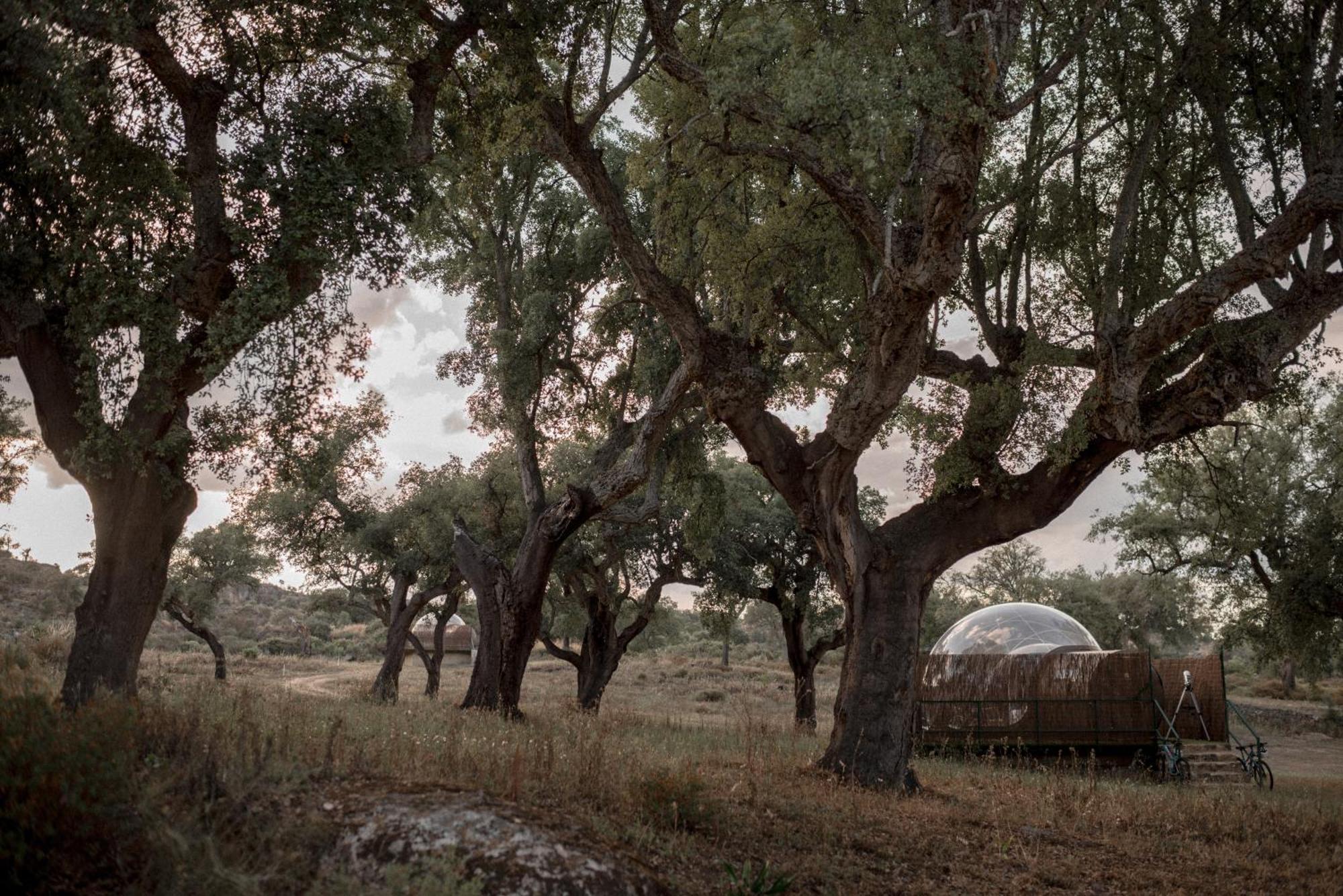 Finca El Cortinal Valencia de Alcantara Bagian luar foto